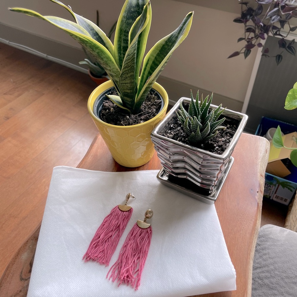 Francescas earrings